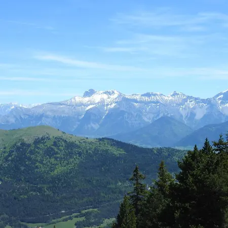 L'alleve *